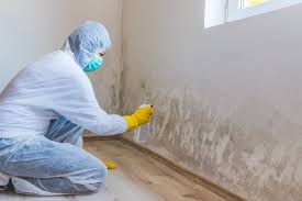 Best Mold Prevention Services  in Dayton, MN