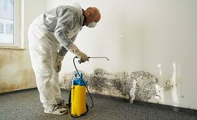 Best Industrial Mold Remediation  in Dayton, MN