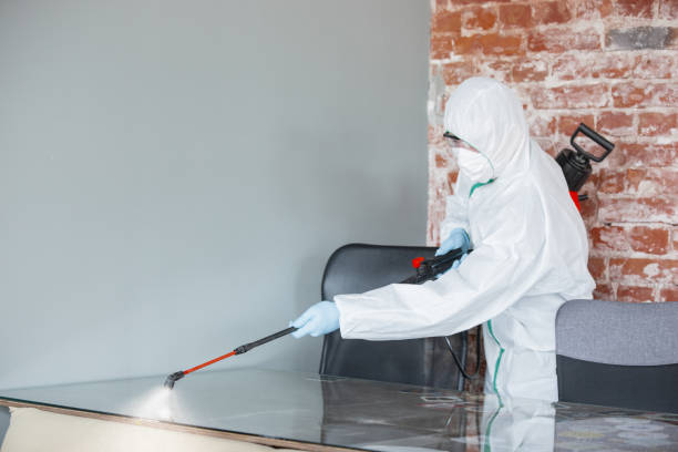 Best Residential Mold Inspection & Testing  in Dayton, MN